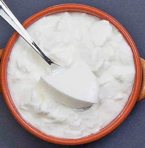 Curd-Dahi